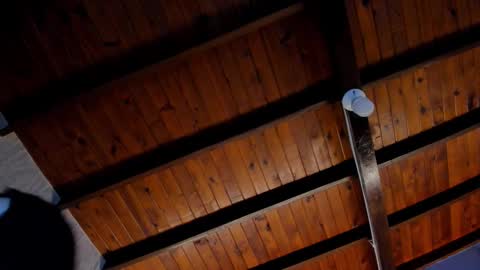 Valery online show from 10.28.25