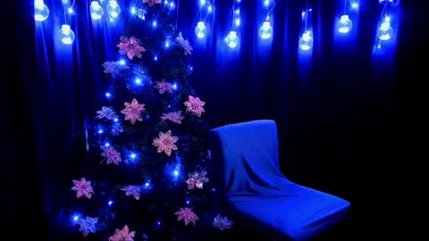    online show from 01.01.25