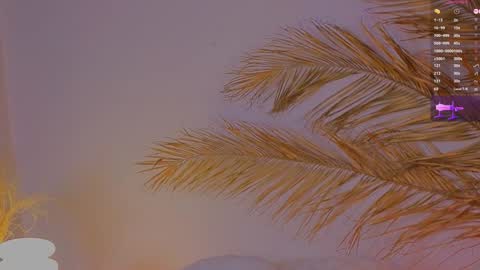 Ally online show from 12.15.24