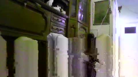 a203530 online show from 02.04.26