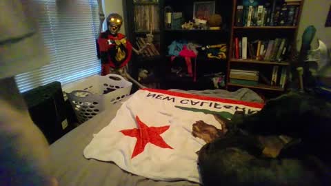 A Bored Dragon online show from 03.11.25