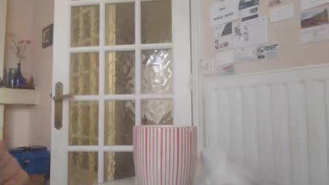 Aalex1717 online show from 01.14.26