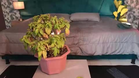 Snapshot of aaron_eze chatting on 01.31.26 Aaron Ezequiel online show from 01.31.26