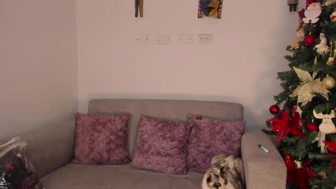 Abbey  IG abby allenn  04 December Online at  I will be on vacation dont forget me  See you soon   online show from 12.12.24