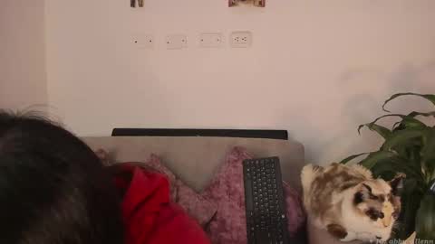 Abbey  IG abby allenn  04 December Online at  I will be on vacation dont forget me  See you soon   online show from 03.07.25