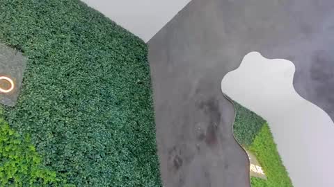 A B B Y online show from 02.12.25