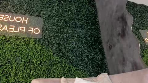 A B B Y online show from 02.15.25