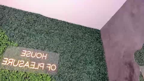 A B B Y online show from 02.19.25