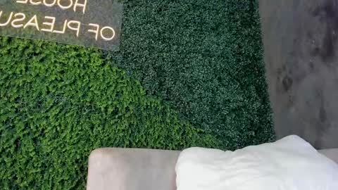 A B B Y online show from 02.19.25