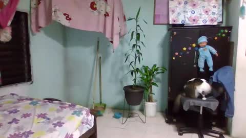 Abby online show from 02.03.25