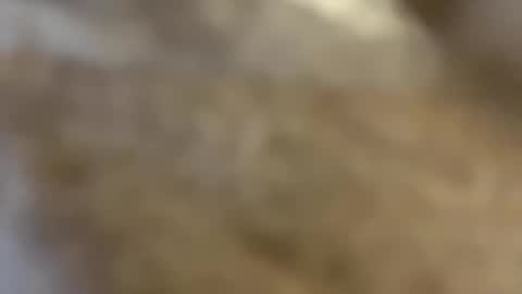 Snapshot of abbyjacksonn_ chatting on 12.03.24 ABBY online show from 12.03.24