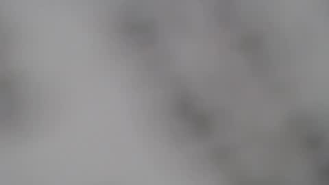 Snapshot of abbyjacksonn_ chatting on 02.05.25 ABBY online show from 02.05.25