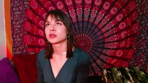 Snapshot of abbysccott chatting on 12.14.24 Abby online show from 12.14.24