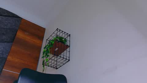 A B B Y online show from 01.08.26