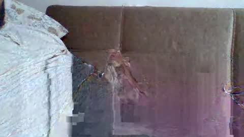 Snapshot of abdil_34 chatting on 02.05.25 abdil_34 online show from 02.05.25