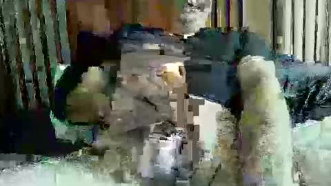 ace1man online show from 10.11.25