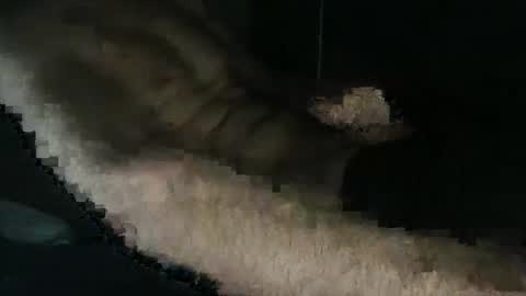 acid_lab online show from 12.16.24