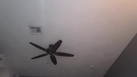 OF  online show from 01.23.25