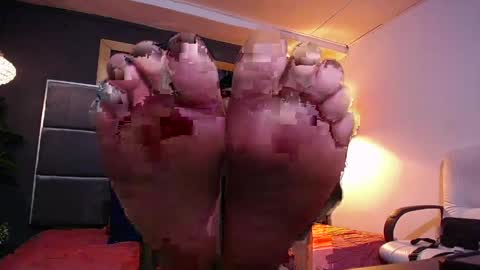 adam_fit19cm online show from 04.06.26