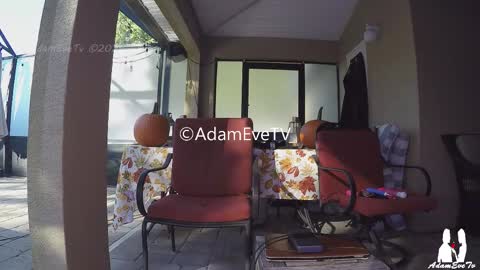 Adam And Eve online show from 11.01.25