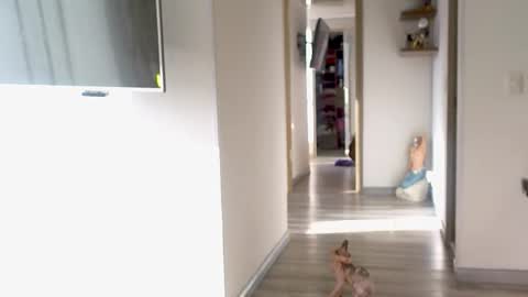 eva online show from 09.10.25