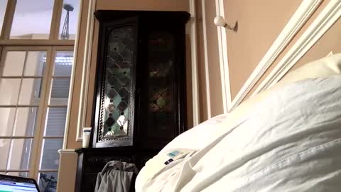 adrienfromparis online show from 03.19.26