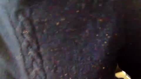 aesthetic form online show from 01.17.26