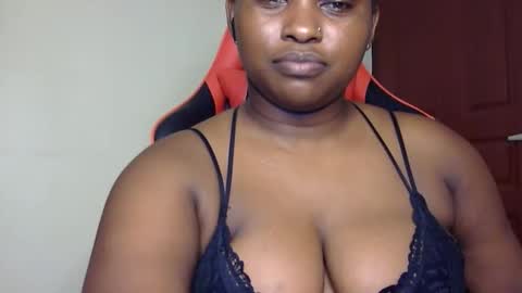 stella online show from 04.02.26