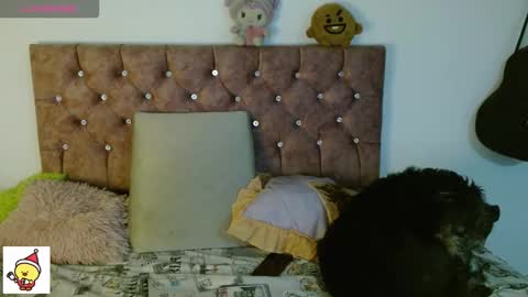 Cris owo online show from 01.06.26