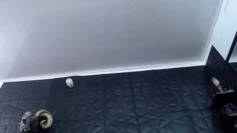  Miss Agata  online show from 05.13.26