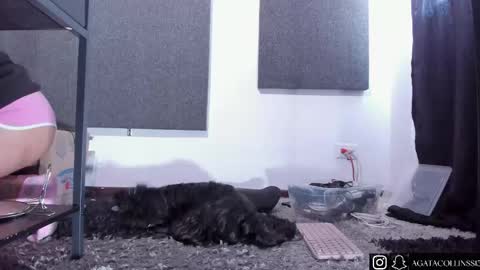 Agata Collinss online show from 04.14.26