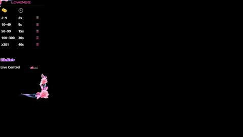 Snapshot of agelina_summer chatting on 03.11.26 Agelina Lilly Laura online show from 03.11.26