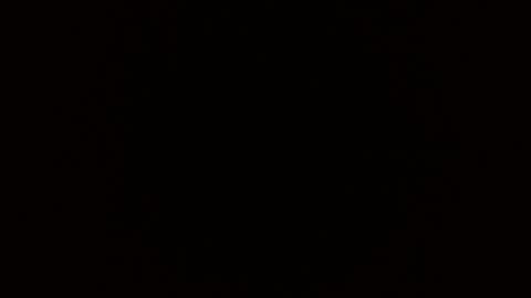 Blue Eyed Handsome Man online show from 02.27.26