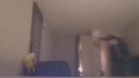 ahbehbi12 online show from 03.10.25