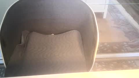 Ole online show from 01.10.25