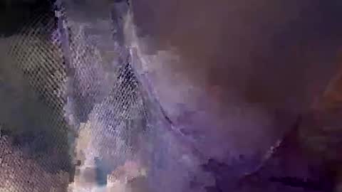 aj297914 online show from 10.18.25