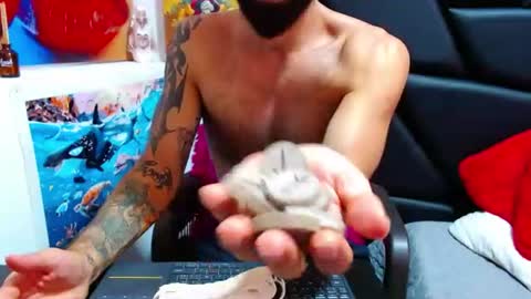 akiles online show from 06.11.26