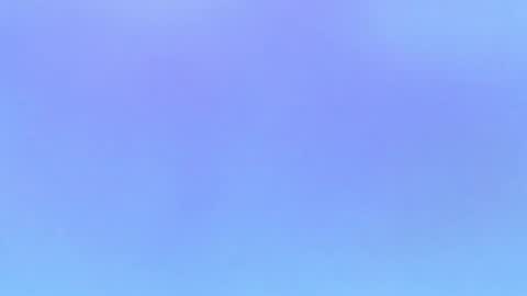 Alaia online show from 11.01.25