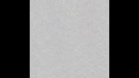 AlaiaSam online show from 10.19.25