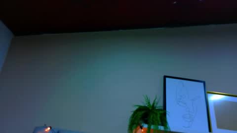  Alaia  online show from 01.07.26