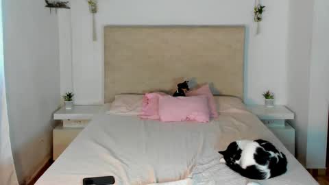             online show from 03.20.26