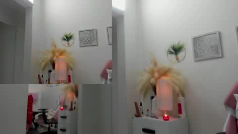 Snapshot of alana_jansen chatting on 12.19.24 Alana online show from 12.19.24