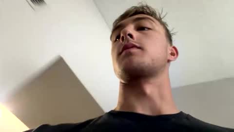 alaskanhorse online show from 02.19.26