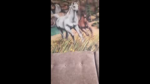 Snapshot of albina6543 chatting on 02.13.26 albina online show from 02.13.26