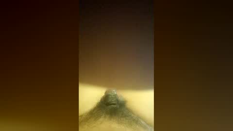 aldenbravo2022 online show from 04.20.26