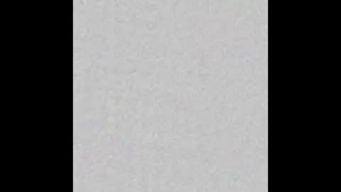 alexa online show from 12.03.24