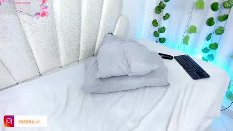 Snapshot of alehank chatting on 02.06.25 Roxana online show from 02.06.25