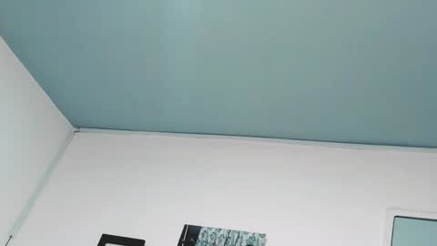 Snapshot of aleja1214 chatting on 01.29.25 Alejandra online show from 01.29.25