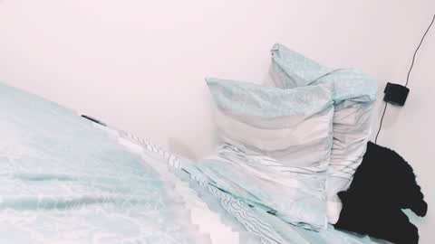 Snapshot of aleja1214 chatting on 01.29.25 Alejandra online show from 01.29.25