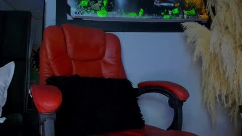 Snapshot of aleja_rogers996 chatting on 12.01.24 Alejandra online show from 12.01.24